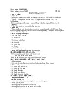 đại 9 tuần 11 tiết 20 21