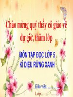 Tập đọc - Lớp 5 - Tuần 8- Kì diệu rừng xanh | Tiểu học Dương Quang