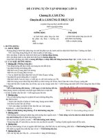 Tài liệu tự ôn tâp đợt 2