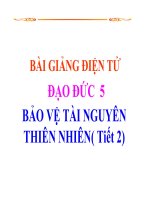 Giáo án điện tử khối 5 - môn: Đạo đức - Bảo vệ tài nguyên thiên nhiên
