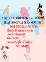 BGĐT: KHÁM PHÁ KHOA HỌCĐề tài: Khám phá: Sự đổi màu của bắp cải tímLứa tuổi 4 - 5 tuổi