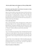 Tải Giày hay giầy, dang tay hay giang tay, dì hay gì đúng chính tả? - Quy tắc viết đúng chính tả