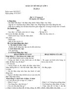 Giáo án Mĩ thuật lớp 2 3 4 tuần 1