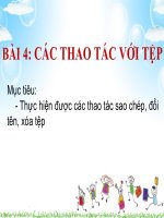 Chủ đề 1: Bài 4 Các thao tác với tệp | Tiểu học Dương Quang