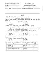 Đề kiểm tra 1 tiết môn Ngữ văn lớp 6