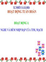 TN&XH lớp 3 - Tuần 7: Hoạt động tuần hoàn | Tiểu học Khương Mai