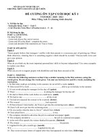 Đề cương ôn tập HKI môn Tiếng Anh khối 11 chuyên năm học 2020 - 2021