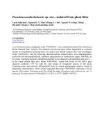 Pseudonocardia babensis sp. nov., isolated from plant litter