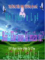 Tập làm văn 4 - tuan 14 - thế nào là miêu tả? | Tiểu học Dương Quang