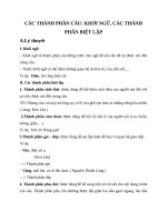 Ôn tập Tiếng Việt Khối 9 tuần 20, 21, 22, 23, 24, 25