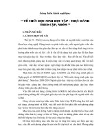 Đề tài:Tổ chức học sinh học tập - thực hành theo cặp nhóm môn Tiếng Anh lớp 0 - Sáng kiến-Kinh nghiệm... - Trung tâm Thông tin - Thư viện điện tử