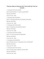 Các cửa hàng giao dịch Viettel tại Bà Rịa Vũng Tàu mới nhất