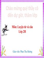 Tuần 21_LTVC: MRVT: Từ ngữ về chim chóc. Đặt và trả lời câu hỏi Ở đâu? | Tiểu học Dương Quang