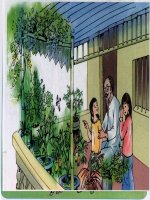 Chuyện một khu vườn nhỏ