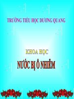 Khoa học 4 - tuần 13 - Nước bị ô nhiễm | Tiểu học Dương Quang