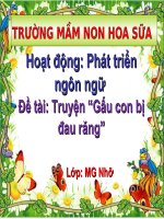 truyện : Gấu con bị sâu răng | Mầm non Hoa Sữa - Gia Lâm