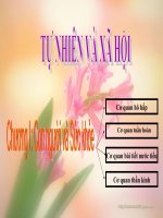 Tuần 1_Môn Tự nhiên và xã hội_Bài Hoạt động thở và cơ quan hô hấp