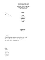 Đề thi thử vào 10 môn Văn trường THCS Văn Đức