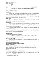 Sử 7 Tuần 5- Tiết 9