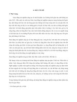 Chuyên đề phương pháp dạy một tiết trải nghiệm sáng tạo môn sinh học ở trường thcs 