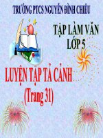 Tập làm văn luyện tập tả cảnh