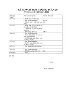 kế hoạch tuần 20