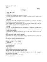 Địa lí 8 tuần 7