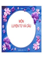 Tiếng việt 4 LT&C Dau hai cham