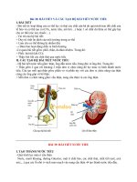 Bài 38: BÀI TIẾT VÀ CẤU TẠO HỆ BÀI TIẾT NƯỚC TIỂU
BÀI 39: BÀI TIẾT NƯỚC TIỂU  
BÀI 40: VỆ SINH HỆ BÀI TIẾT NƯỚC TIỂU 
BÀI 41: CẤU TẠO VÀ CHỨC NĂNG CỦA DA
BÀI 42: VỆ SINH DA
BÀI 43: GIỚI THIỆU CHUNG HỆ THẦN KINH