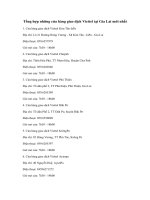 Các cửa hàng giao dịch Viettel tại Gia Lai mới nhất