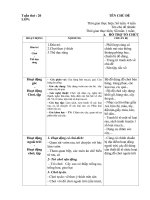 Giáo án phụ tuần 20 một số loại rau củ