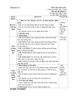 Giáo án tuần 12. Chủ đề 