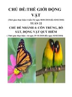 giáo án chủ đề Thế giới động vật tuần 22 tuần Phụ nhánh 4