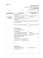 Giáo án phụ tuần 10 - Đồ dùng trong gia đình bé