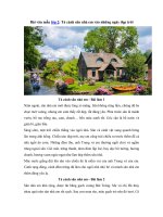 Tải Tập làm văn lớp 2: Tả cảnh sân nhà em vào những ngày đẹp trời -  Những bài văn mẫu lớp 2 hay nhất