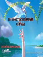 Bài giảng điện tử  Toán - đại số 6-7-8-9