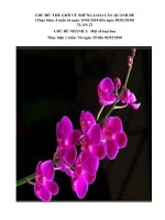 GA CD TGTV TUAN 22 MOT SO LOAI HOA