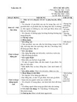 Giáo án tuần 10. Chủ đề 