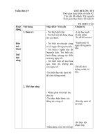 Giáo án tuần 19 chủ đề nhánh Tết nguyên đán