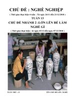 Giáo án tuần 13: Chủ đề: Nghề nghiệp tuần phụ