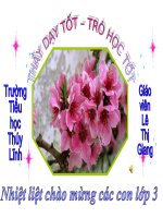 Mĩ thuật 3 Tuần 25