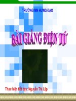 Vòng đời của bướm