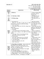 giáo án phụ tuần 12. Chủ đề 