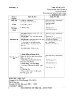 Giao án phụ tuần 20 một số loại quả