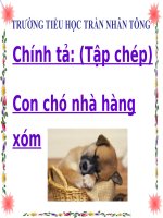 Bài giảng Chính tả