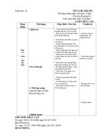 Giáo án chính nhánh một số loại hoa