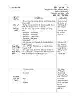 Giáo án phụ tuần 10 - Đồ dùng trong gia đình bé