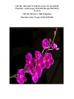 giáo án phối hợp tuần 22 chủ đề nhánh 