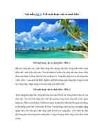 Tải Tập làm văn lớp 2: Viết một đoạn văn tả cảnh biển -  Bài tập làm văn lớp 2 hay nhất