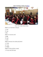 Tải Bộ câu hỏi Rung chuông vàng lớp 1 -  Tài liệu ôn thi Rung chuông vàng lớp 1